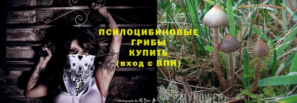 марки nbome Горнозаводск